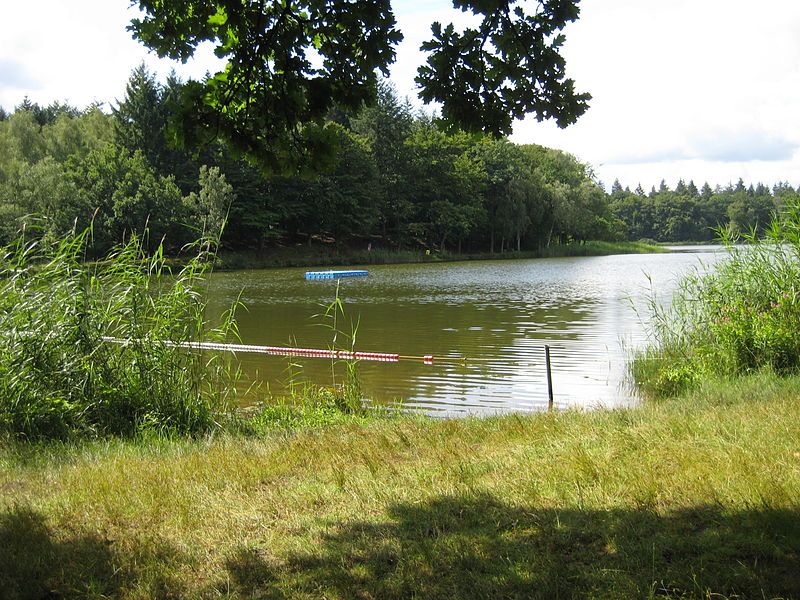 File:Bredenbeker Teich.jpg