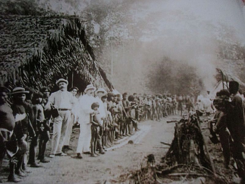 File:Caucheria Peruvian jungle.jpg