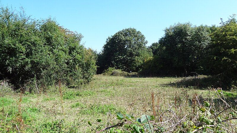 File:Cranebank meadow.JPG