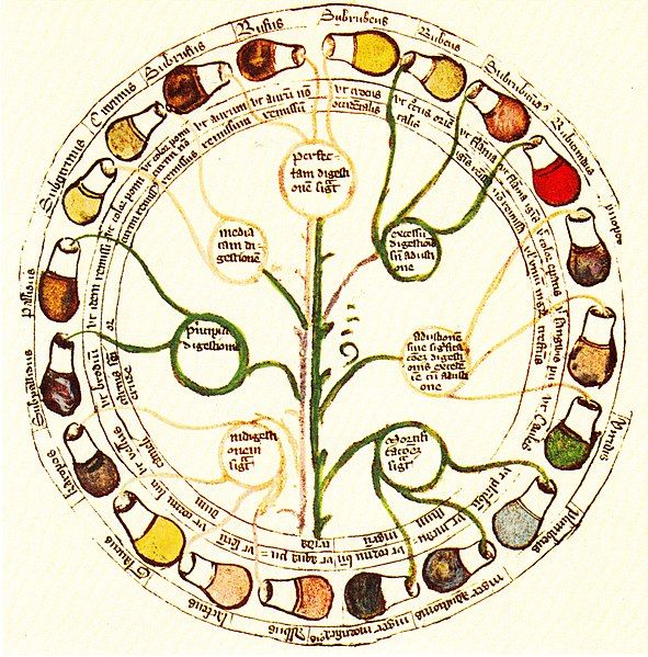 File:Fasciculus Medicinae 1491.jpg