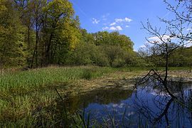 Nature reserve Faulbruch (2016)