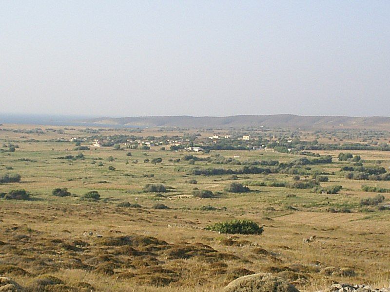 File:Fisini Lemnos.jpg