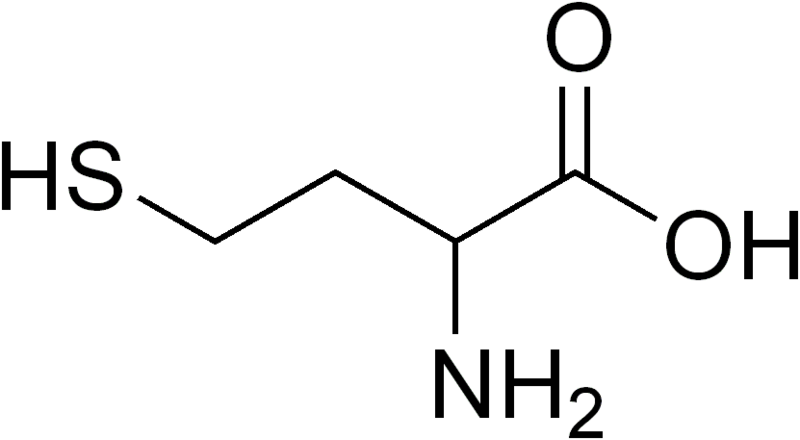 File:Homocysteine racemic.png