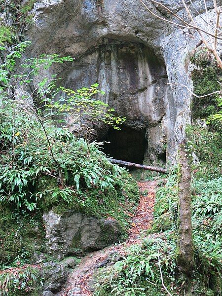 File:Kaltbrunnental Kohlerhöhle.JPG