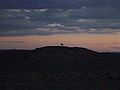 A Khulan (Mongolian Wild Ass) in silhouette at sunset