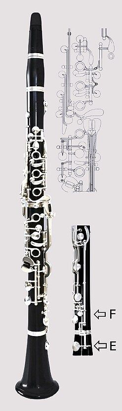 Oehler clarinet with a cover on the middle tone hole of the lower joint and a bell mechanism to improve low E and F. Developed in 1905 by Oscar Oehler.