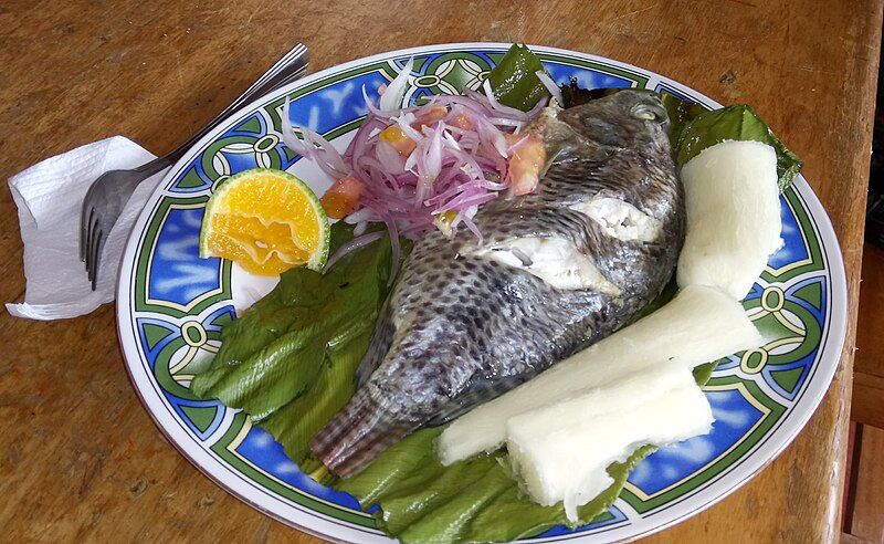 File:Maito de Tilapia.jpg