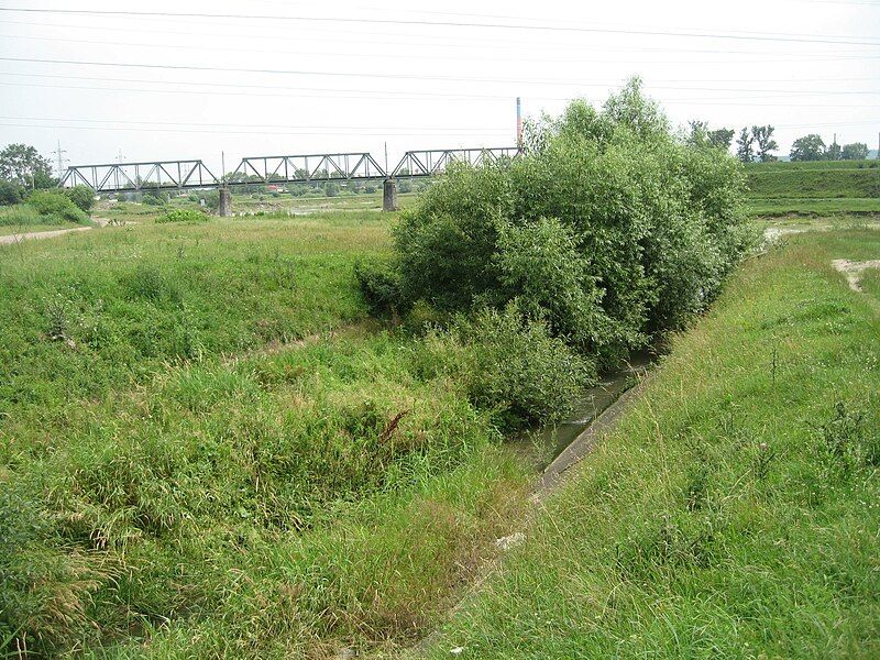 File:Mitocu River1.jpg