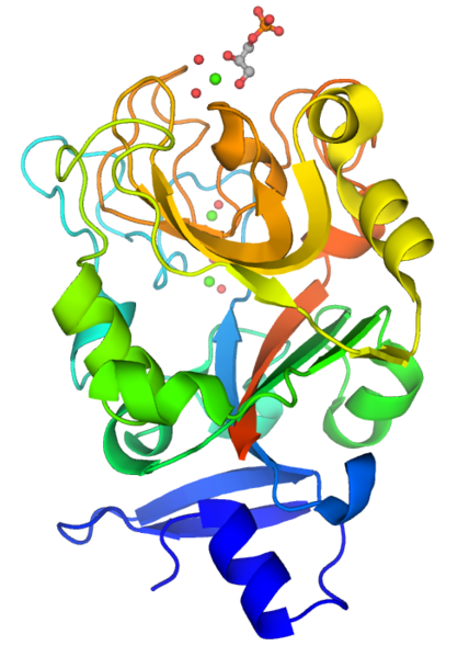 File:Monomeric XEEL.png