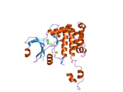 2cn8: CRYSTAL STRUCTURE OF HUMAN CHK2 IN COMPLEX WITH DEBROMOHYMENIALDISINE