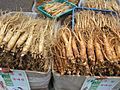 Fresh ginseng (P. ginseng)