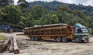 District Tawau, Sabah: Timber truck at the logging Camp of Asiatic Lumber Industries