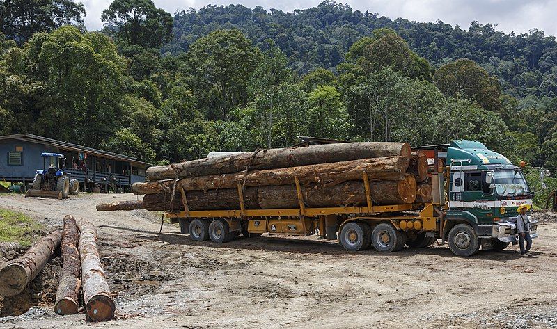 File:Tawau-District Sabah Logging-Camp-08.jpg