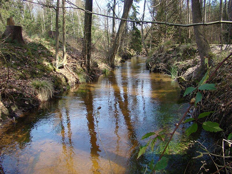 File:WeesenerBachKanal.jpg