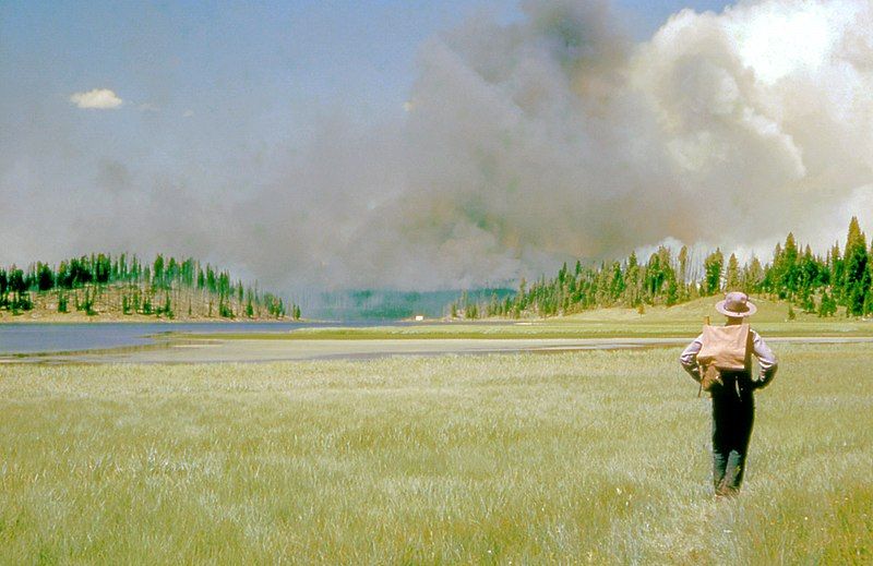 File:Yellowstone fire 1953.jpg