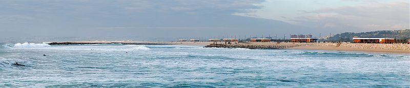 File:Caparica December 2011-8.jpg