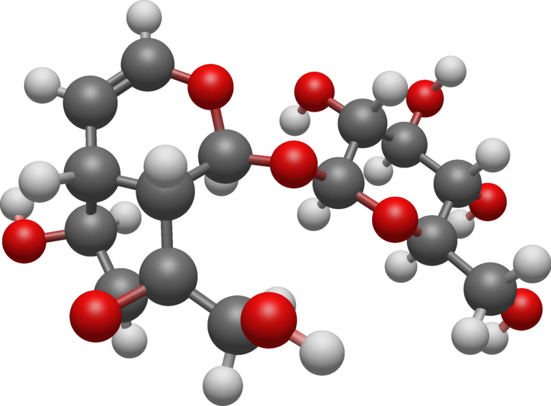 File:Catalpol 3D BS.png