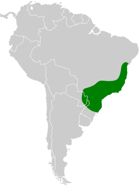 File:Dendrocincla turdina map.svg