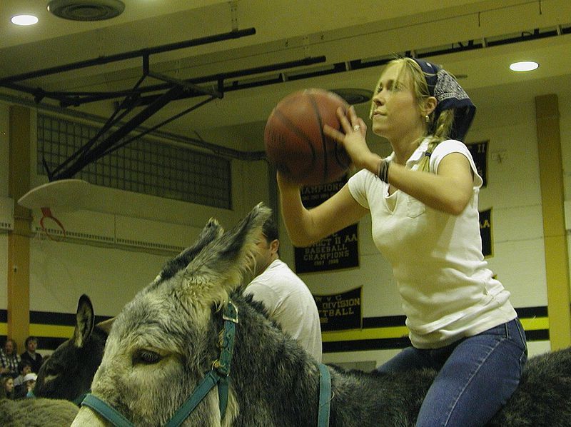 File:Donkey basketball.jpg