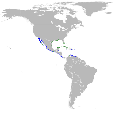 File:Egretta rufescens map.svg