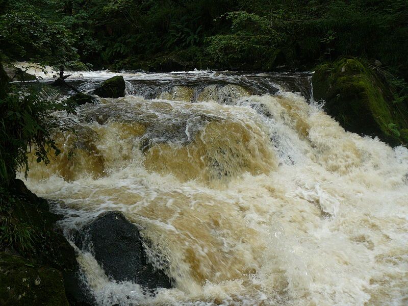 File:FoweyGolithaFalls2.jpg