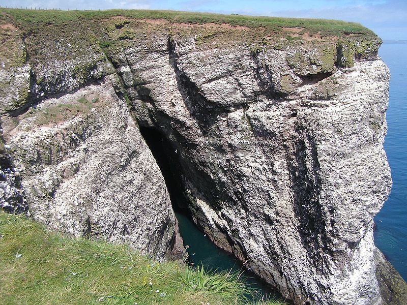 File:Fowlsheughclifftonorthsea.JPG