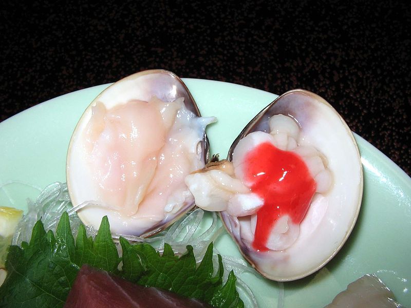 File:Hamaguri sashimi.jpg