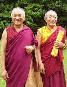 Two older brothers outdoors, smiling