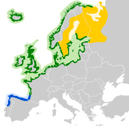 File:Larus argentatus map.svg