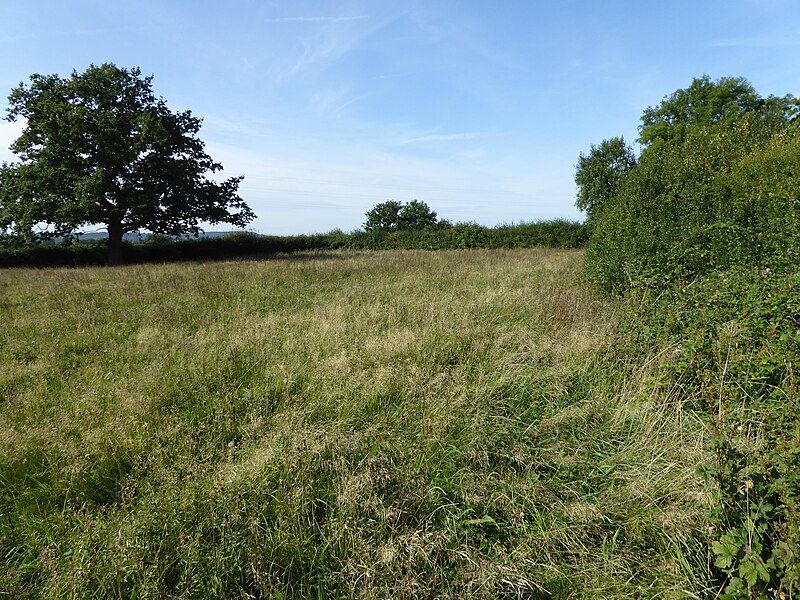 File:Muston Meadows 3.jpg