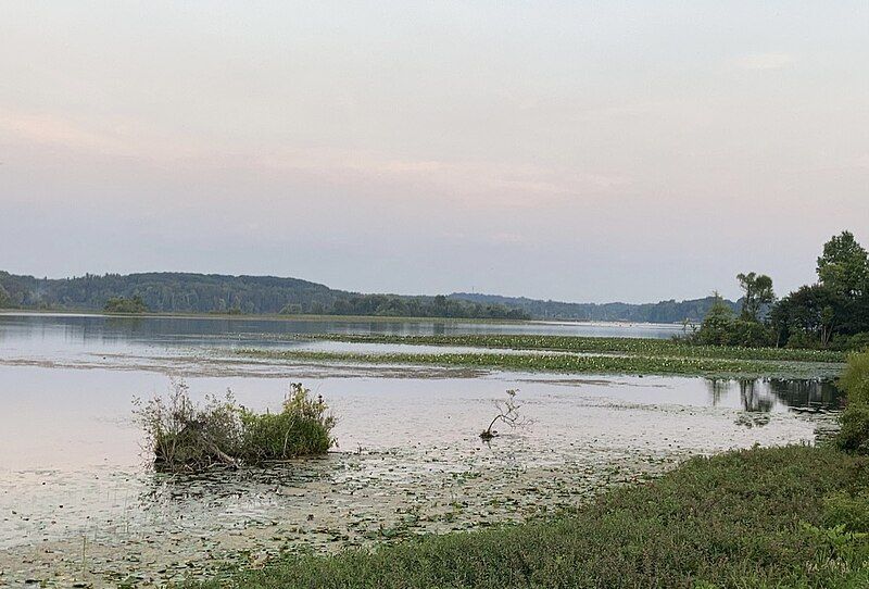 File:Nimisila Reservoir 2021.jpg