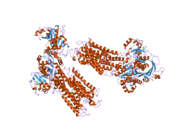 2c9m: STRUCTURE OF (SR) CALCIUM-ATPASE IN THE CA2E1 STATE SOLVED IN A P1 CRYSTAL FORM.