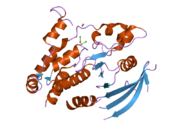 2cfv: CRYSTAL STRUCTURE OF HUMAN PROTEIN TYROSINE PHOSPHATASE RECEPTOR TYPE J