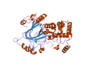 2yu2: Crystal structure of hJHDM1A without a-ketoglutarate