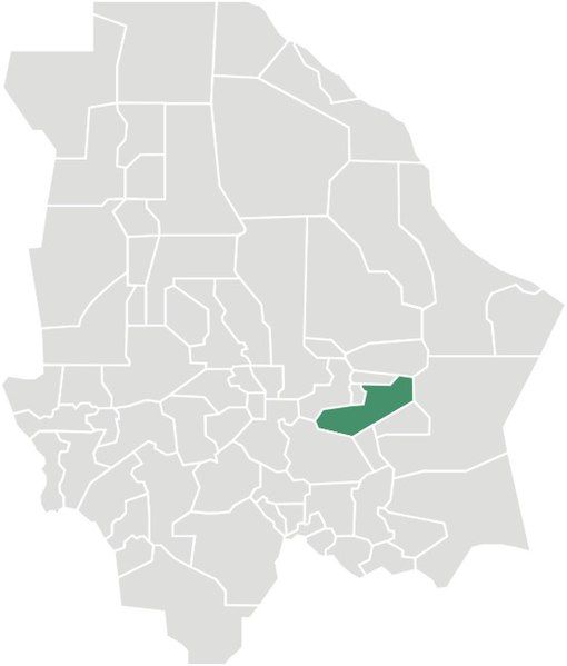 File:Saucillo en Chihuahua.jpg