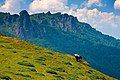 Stara Planina Nature Park