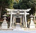 Torii gates leading to steps