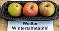 File:Weiẞer Wintertaffetapfel jm55111.jpg