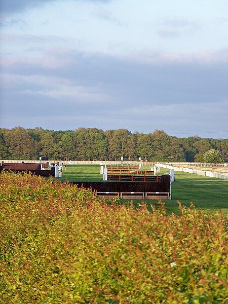 File:Wetherby Racecourse jumps.jpg