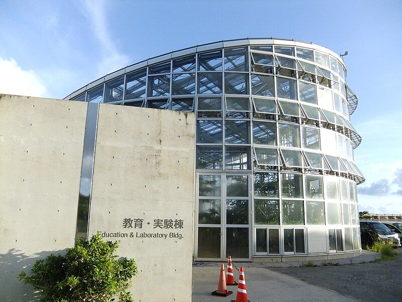 File:沖縄工業高等専門学校 教育実践棟.JPG