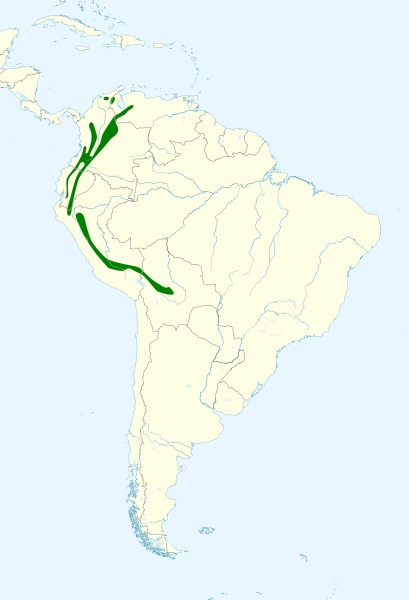 File:Amazona mercenarius map.svg