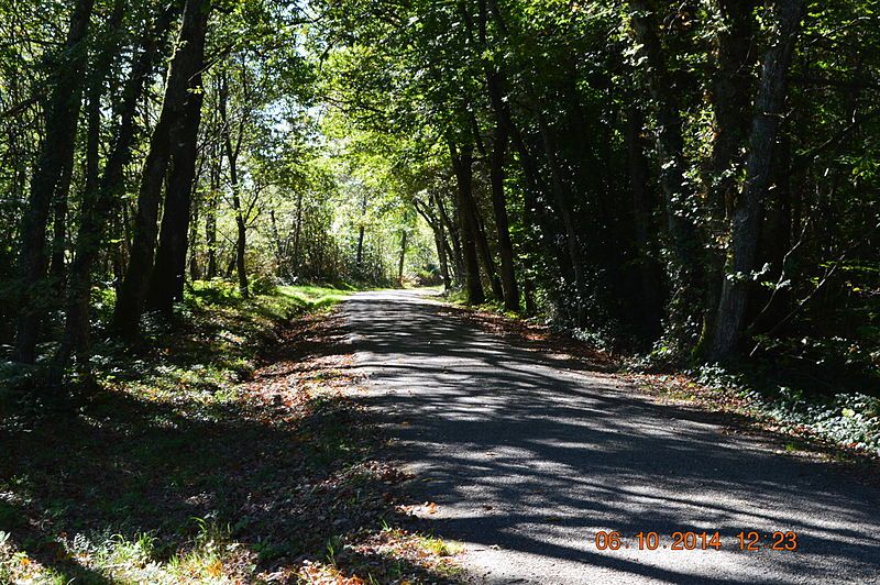 File:Arzay Road.JPG