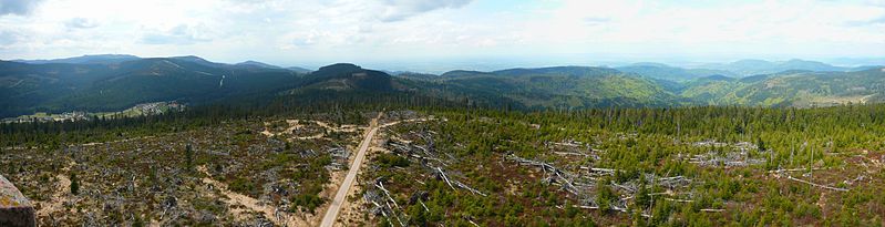 File:BadenerHoehePanorama.jpg