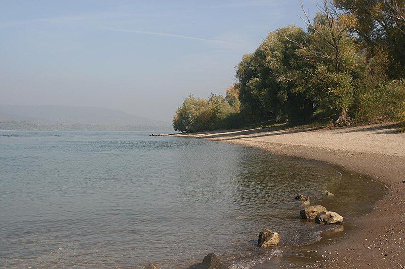 File:Danube at Visegrad.jpg