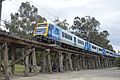 A Metro X'Trapolis train crosses the trestle bridge, November 2013