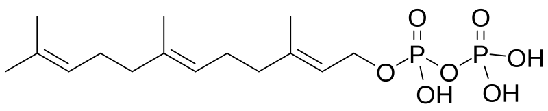 File:Farnesyl pyrophosphate skeletal.svg