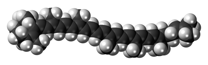 File:Gamma-Carotene-3D-spacefill.png