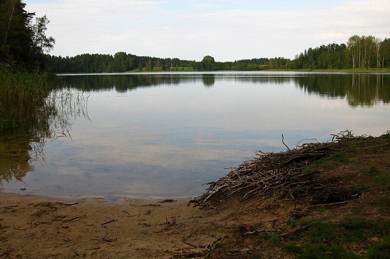 File:Koorküla Valgjärv11.JPG