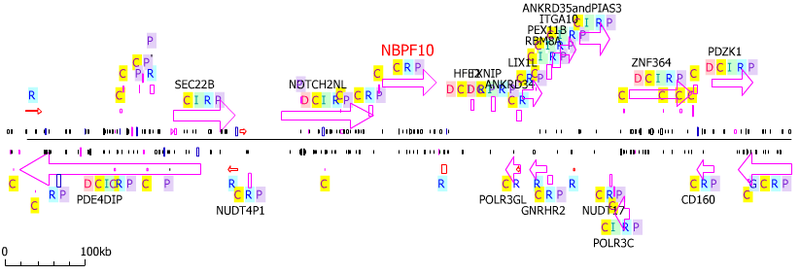 File:NBPF10 neighborhood.PNG