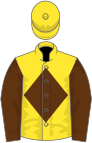 Yellow, brown diamond and sleeves